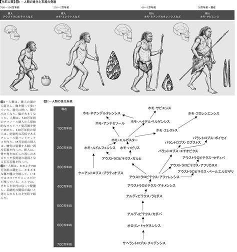 旧人 意味|旧人類(キュウジンルイ)とは？ 意味や使い方